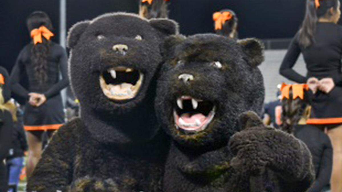 File - Central High’s Grizzlies mascots during a game in 2013.