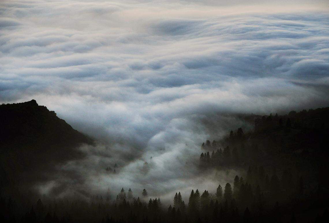 Fog fills in the foothills near Squaw Valley east of Fresno in December 2012.