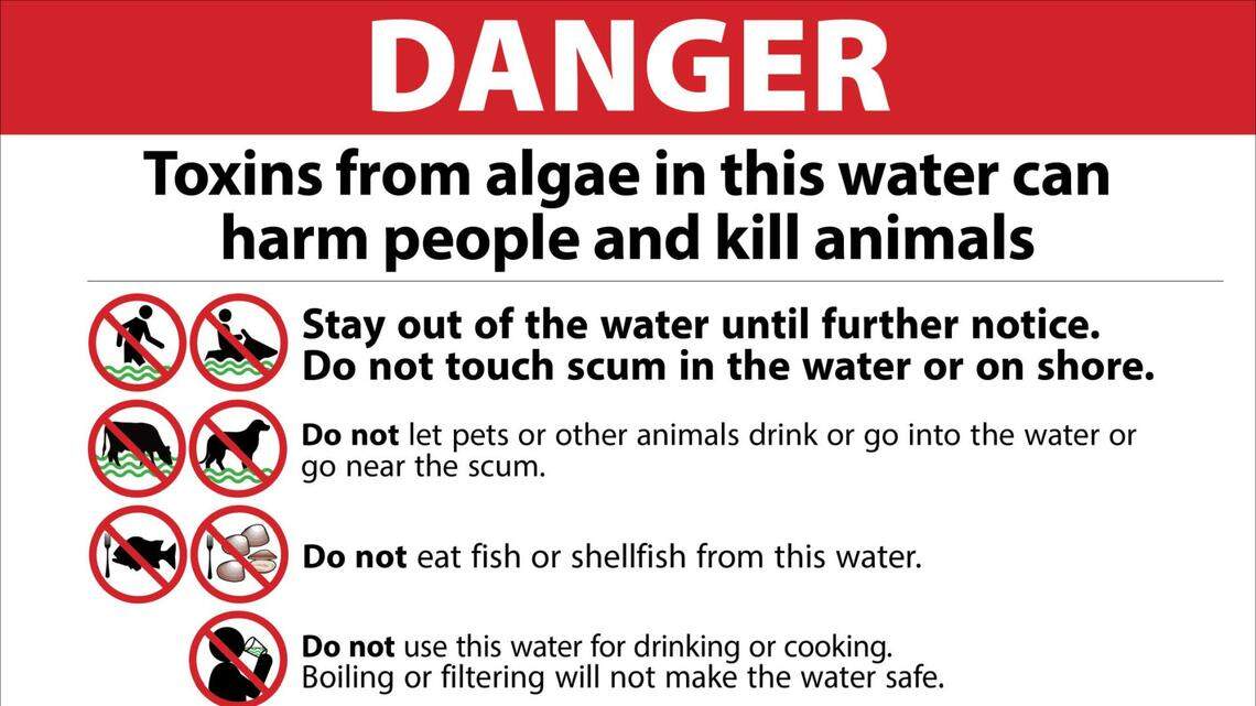 A danger advisory poster, posted online at Madera County’s Harmful Algal Blooms page.