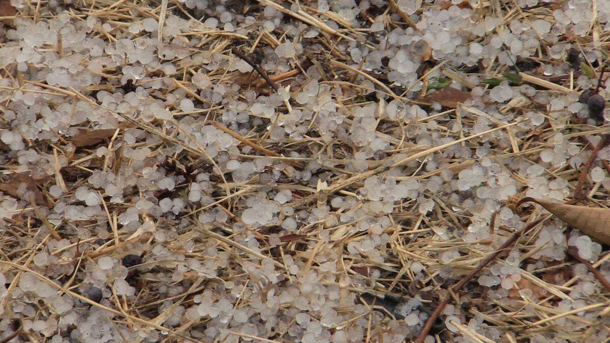 Pebble-size hail covers the ground close to Teague Elementary School in northwest Fresno after a sudden heavy downpour Tuesday afternoon.