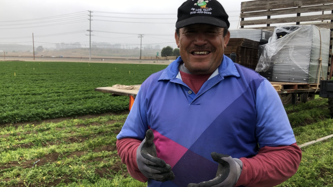 Isidro Garcia, a California farmworker, worked in the parsley harvest alongside U.S. Senator Alex Padilla on Friday, June 3, 2022. Padilla worked alongside farmworkers in Moorpark, CA, as part of the United Farm Workers and UFW Foundation’s ‘Take Our Jobs’ campaign.