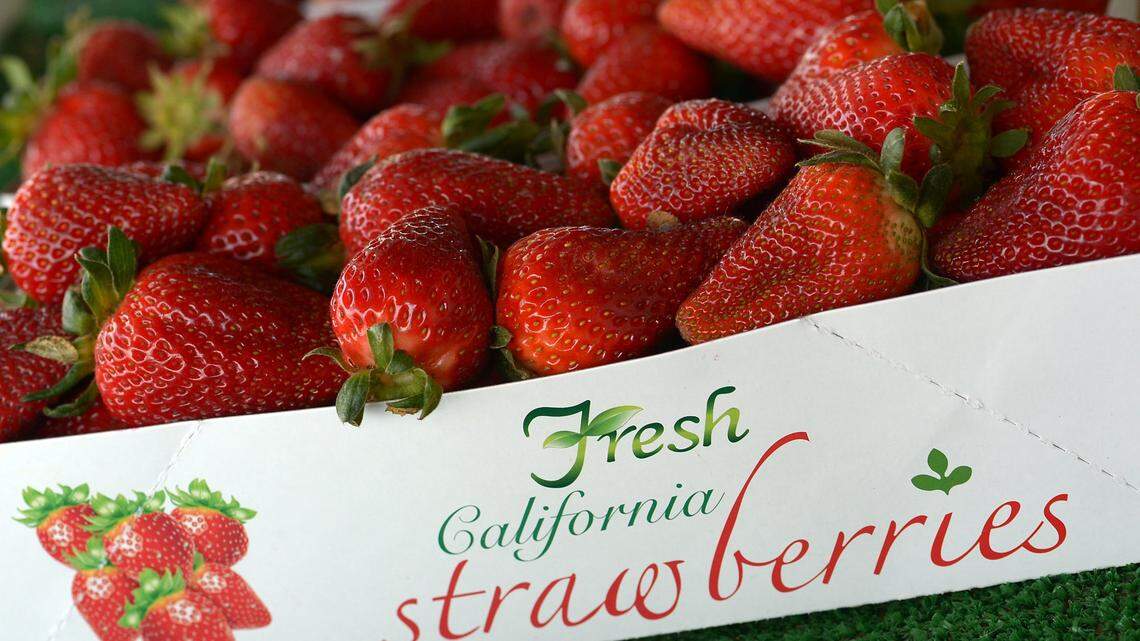 Fresh picked Albion strawberries for sale at Siong’s Strawberry Farm stand on Wednesday, April 5, 2017, at the northeast corner of Willow and Behymer avenues in northeast Clovis. One of Fresno favorite springtime fruits are making their way to various roadside stands.