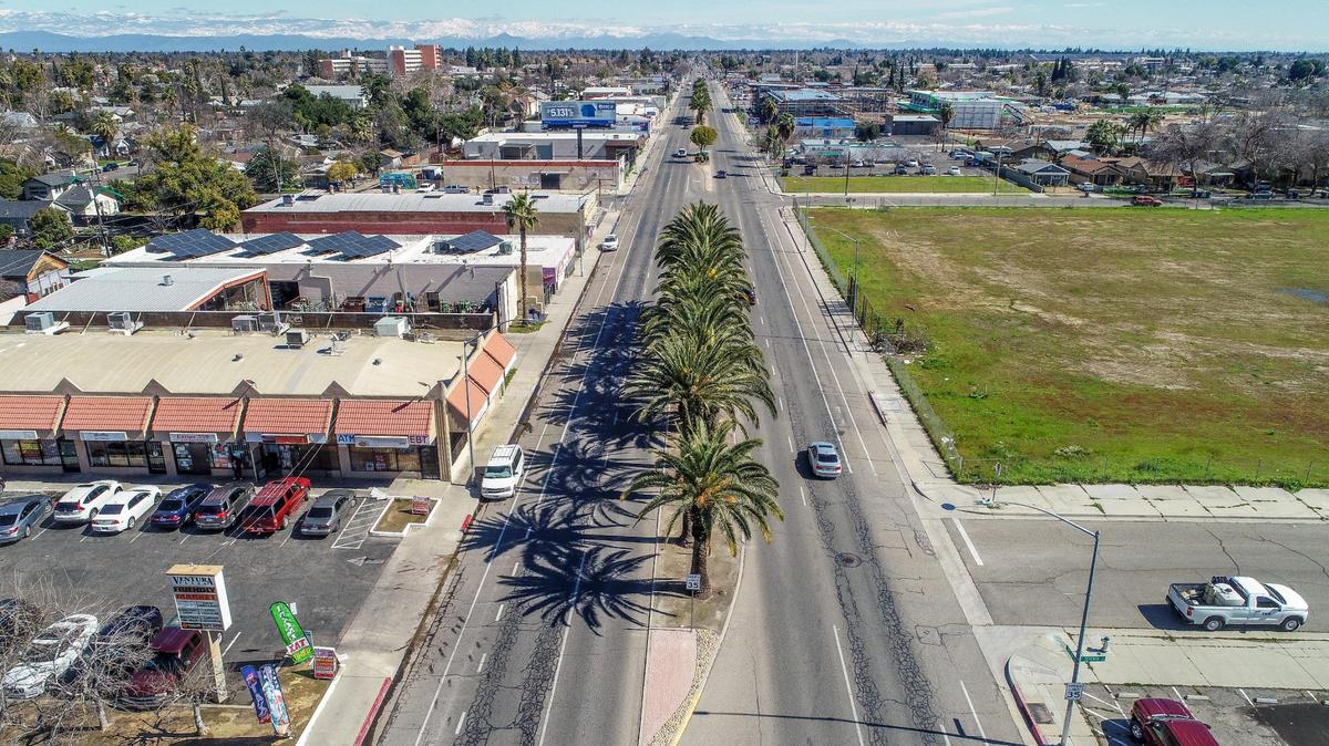 Palm trees line the median along the former Ventura Avenue looking east from Seventh Avenue on Thursday, March 2, 2023. Fresno City Council voted to change the road’s name to Cesar Chavez Boulevard on March 9, 2023.