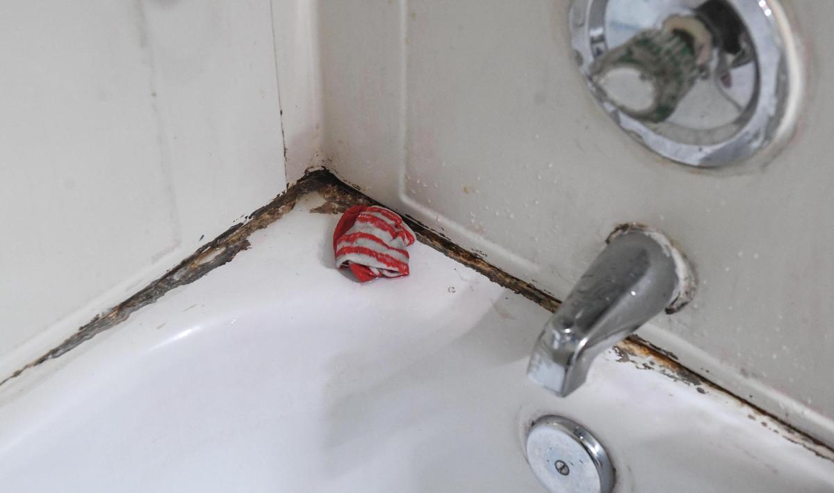 Mold appears around the tub at Greg and Jessica Null’s apartment at La Casa Manor in Fresno on Tuesday, June 2, 2021.