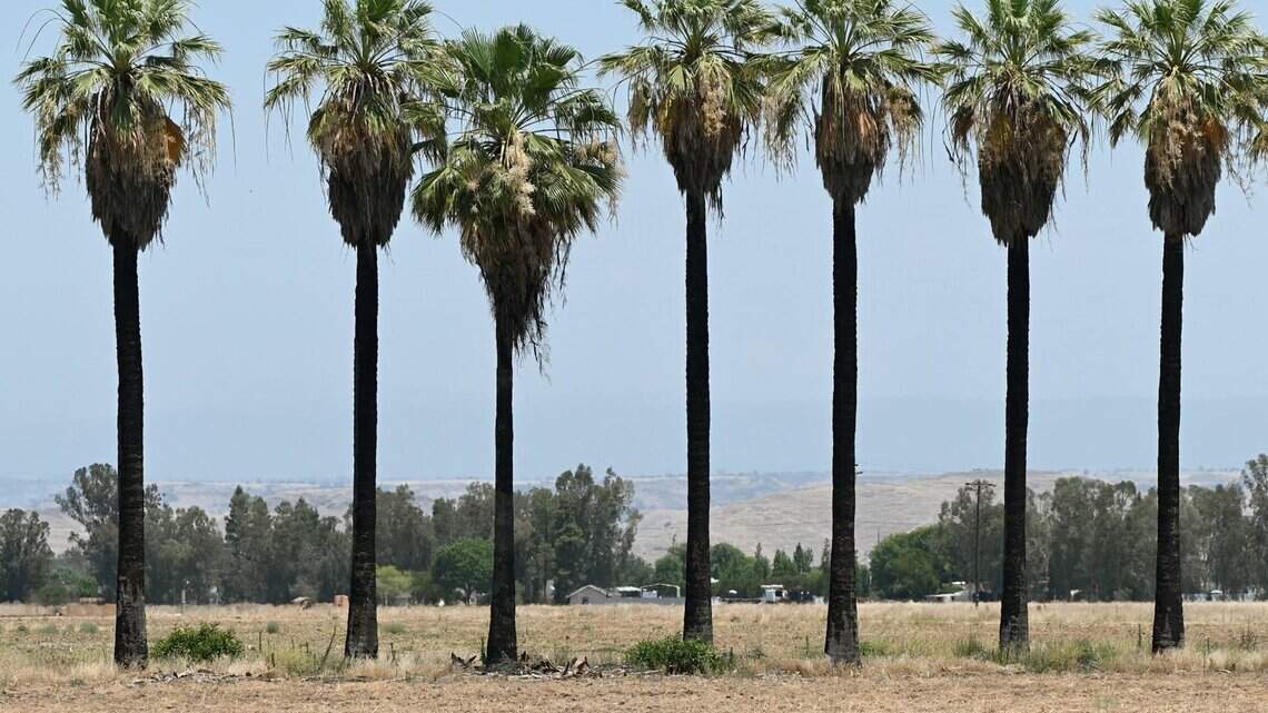 Clovis Unified plans 37th elementary school by 2032; seeks support for new bond