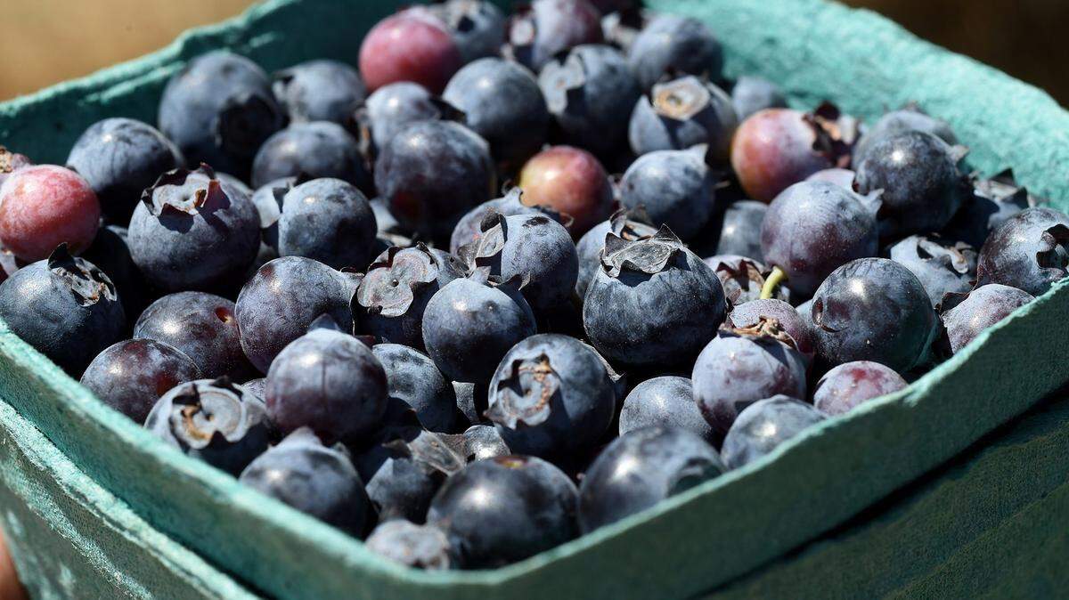 A recent study found that blueberries can significantly reduce spikes in insulin and glucose after eating high fat/high sugar meals among people with metabolic syndrome. Those with metabolic syndrome have high blood pressure, high blood sugar, excess body fat around the waist and elevated cholesterol or triglycerides, increasing the risk of heart disease, stroke and diabetes.