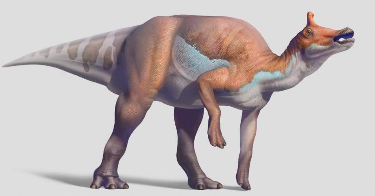 Image of a Augustynolophus the official state dinosaur