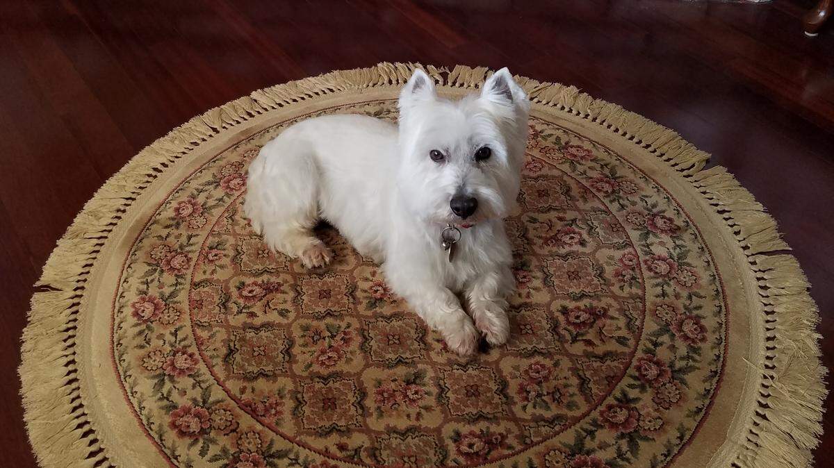 Cornelius posing for his picture