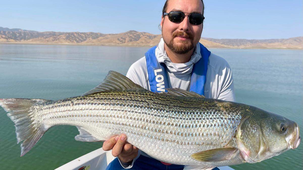 Mike Padilla of Madera shows off a personal-best 40-inch, 24.4-pound striper caught Sept. 20 at San Luis Reservoir on a trip with guide Roger George.