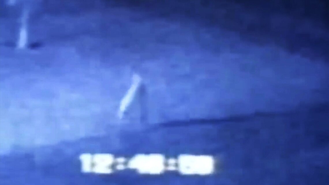 Fresno Nightcrawler creeping into malls, homes. How to catch the cuddly creature