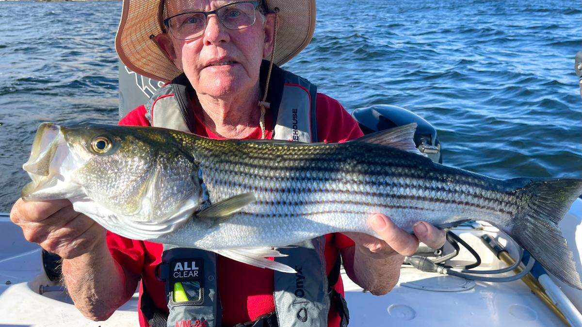 John Rhine, 80, of Salinas holds a 25-inch San Luis striper that he released back to the waters. The trip marked Rhine’s sixth anniversary as a survivor of pancreatic cancer.