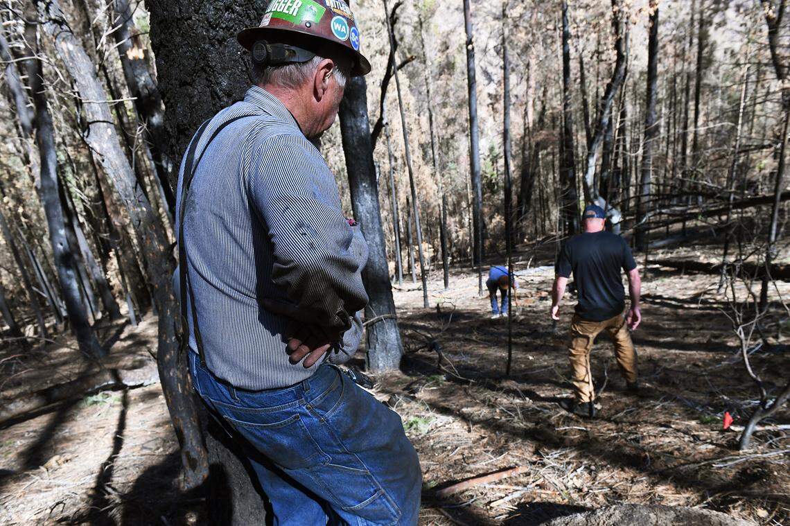 Tim Messer, left, stands in the burned forest as others look for clues near the origin site of the Creek Fire Wednesday, Feb. 24, 2021 near Camp Sierra.