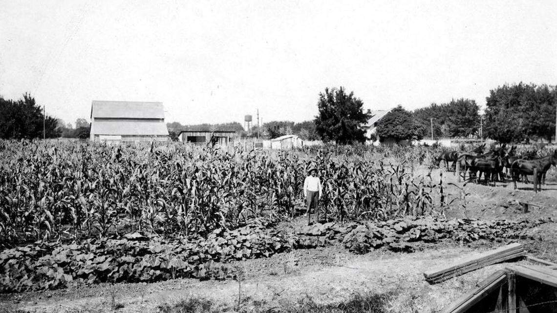 Sarah Lim: The story behind Merced’s ‘Little Snelling’ and other historic neighborhoods