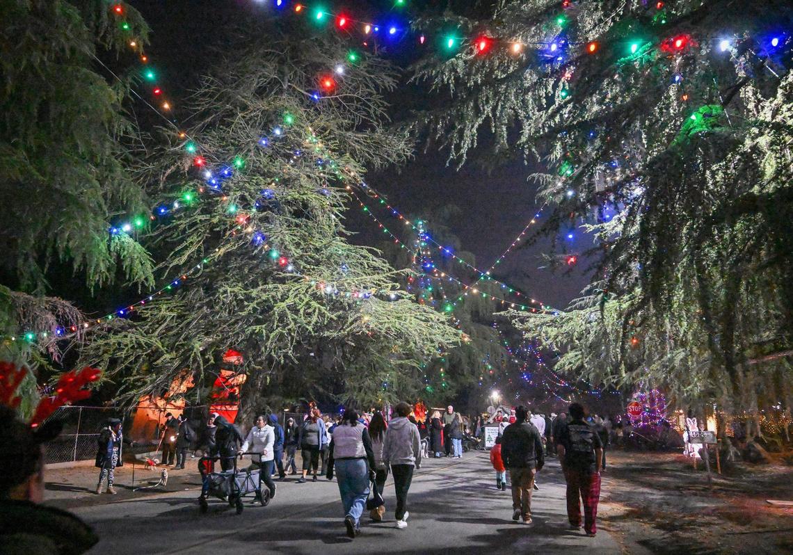 Holiday revelers walk below the deodar cedars lit up for the holidays along Christmas Tree Lane in Fresno’s Old Fig Garden neighborhood on the first of two walk-only nights on Tuesday, Dec. 3, 2024.