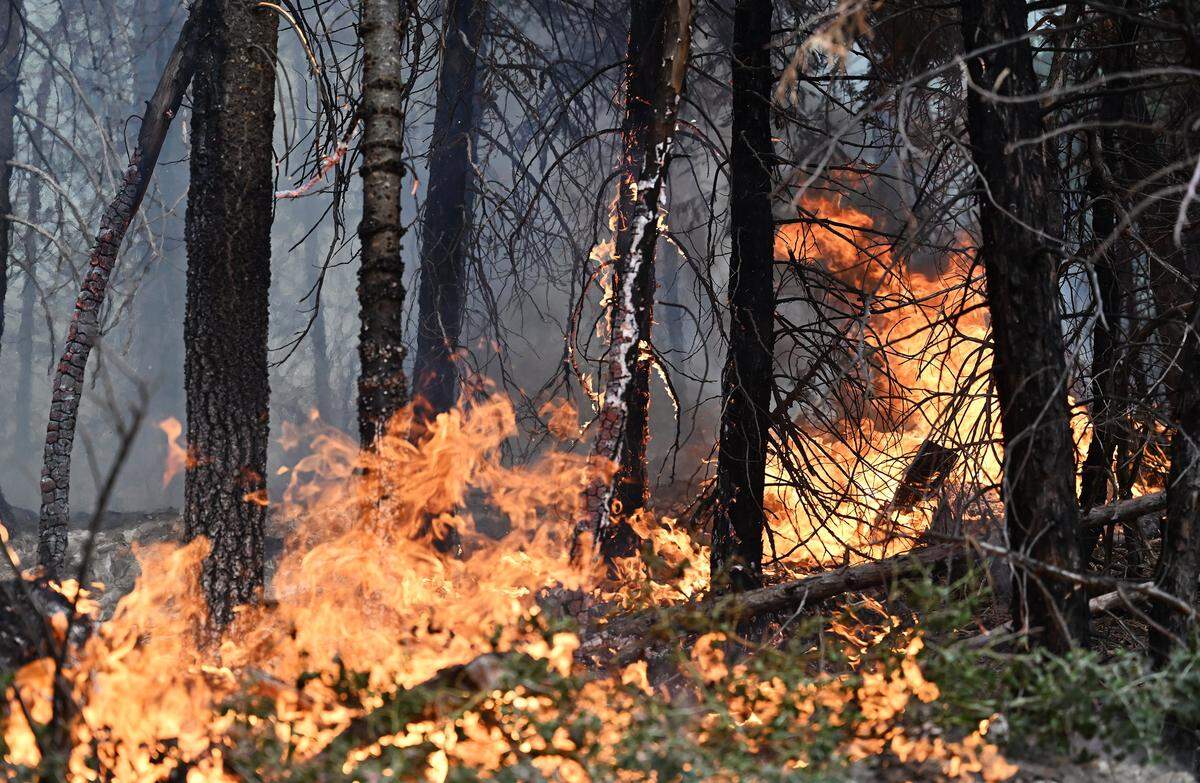 A spot fire burns along Dinkey Creek Road as the Garnet Fire burns in the Sierra National Forest southeast of Shaver Lake Tuesday, Sept. 9, 2025. The lightning-caused fire which began Aug. 24 was reported by CALFIRE to be 15% contained at 56,724 acres burned on Tuesday.