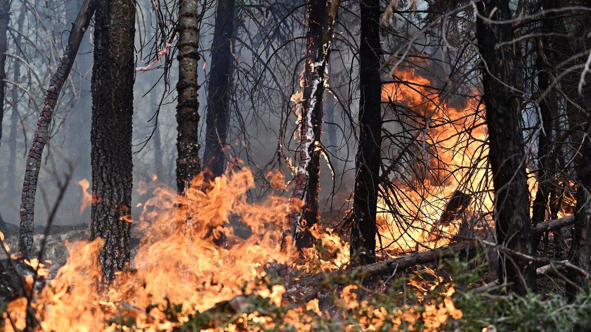 A spot fire burns along Dinkey Creek Road as the Garnet Fire burns in the Sierra National Forest southeast of Shaver Lake Tuesday, Sept. 9, 2025. The lightning-caused fire which began Aug. 24 was reported by CALFIRE to be 15% contained at 56,724 acres burned on Tuesday.