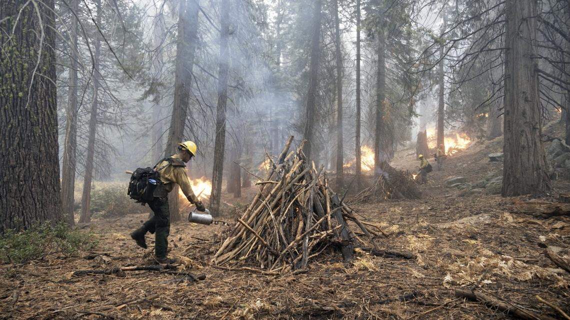 A fire technician ignites a burn pile in the Big Stump area of Kings Canyon National Park along Highway 180 east of Fresno, California.