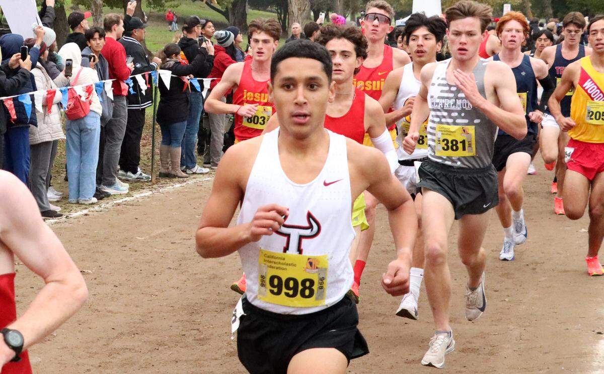 Torres High senior Benjamin Fernandez finished eighth in the Division II boys race at the CIF state cross country championships at Woodward Park on Nov. 29, 2025. He clocked 14:59.2 to help Torres to third in the team race.