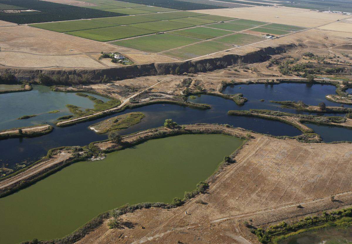 An aerial view of the San Joaquin River downstream of Highway 41 shows a series of ponds made of abandoned gravel mines. Nearly every segment of the San Joaquin between Highway 41 and Highway 99 was mined for gravel.