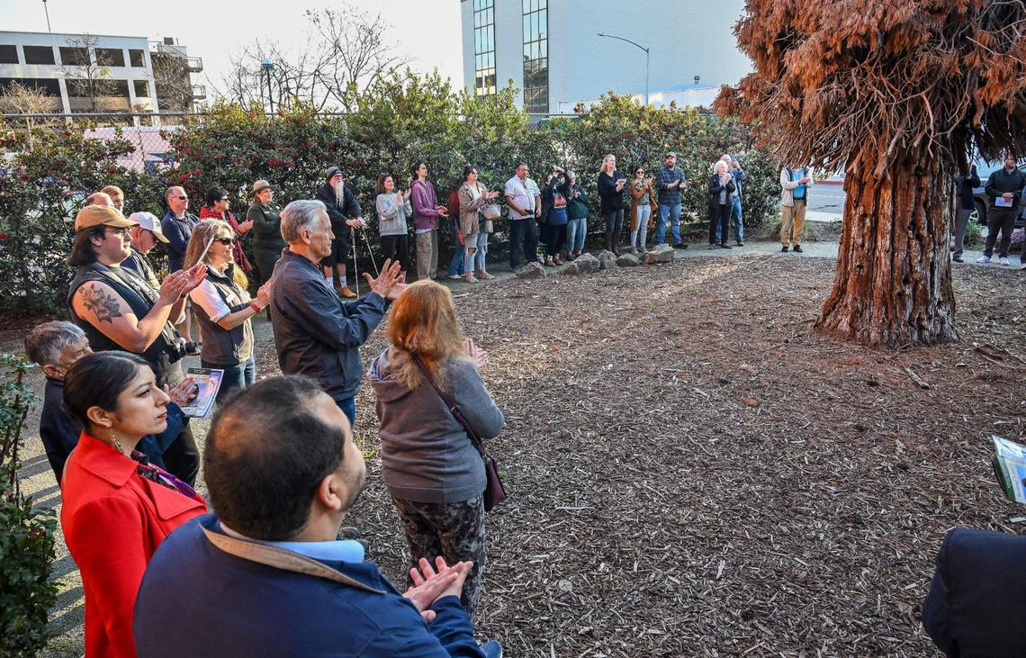Residents gather around the Legacy Tree giant sequoia during a ceremony honoring the tree before it was cut down due to a fungal infection in downtown Visalia, on Thursday, Feb. 21, 2025.