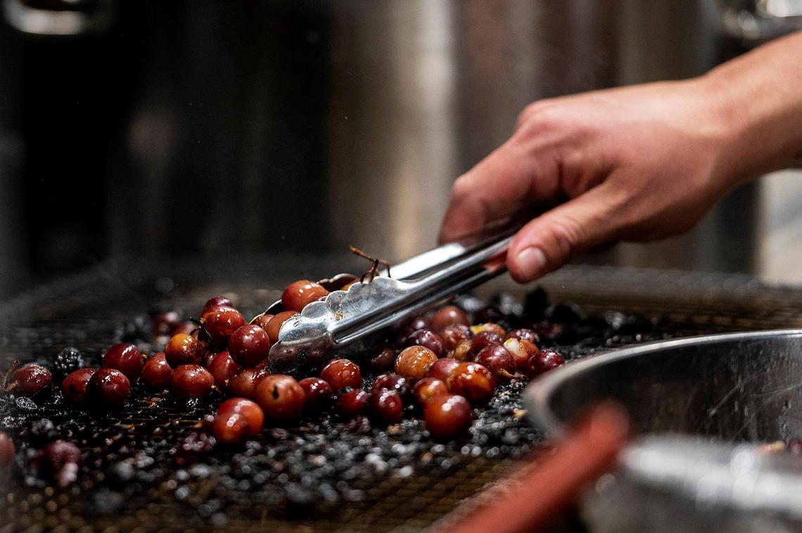 Grapes are roasted over charcoal and will be made into a sauce for an abalone starter at the Rainbird restaurant inside the El Capitan Hotel located at 609 W. Main Street in Merced, Calif., on Thursday, Feb. 3, 2022. The restaurant is scheduled to open on Feb. 11.