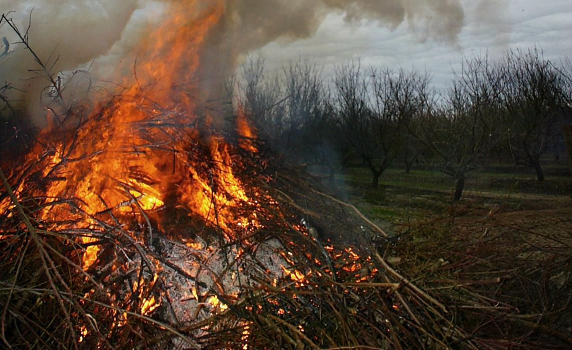A pile of almond branches burns along an orchard southeast of Kerman, California, in this file photo from December 2003.