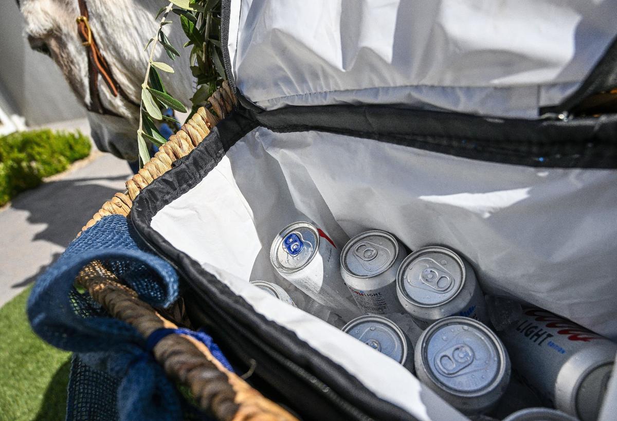 A basket strapped to the back of Fiona the donkey is loaded up with cold drinks that the miniature donkey from Drinky Donks will bring around to party-goers during a graduation party in Fresno on Friday, May 24, 2024.