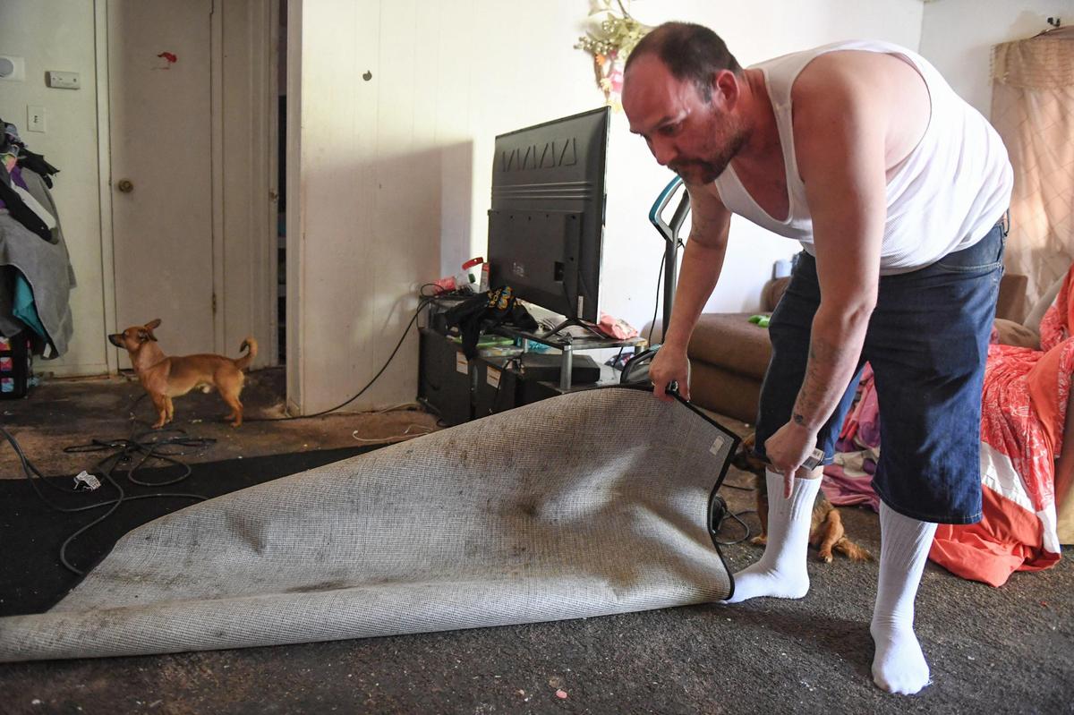 Greg Null pulls up a rug covering part of the the carpet in the apartment he resides in with his wife Jessica at La Casa Manor in Fresno on Tuesday, June 2, 2021.