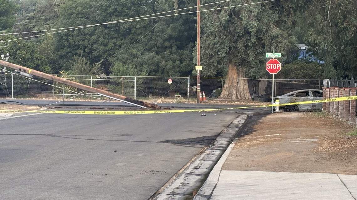 Driver dies after vehicle crashes into power pole, catches fire, Fresno police say