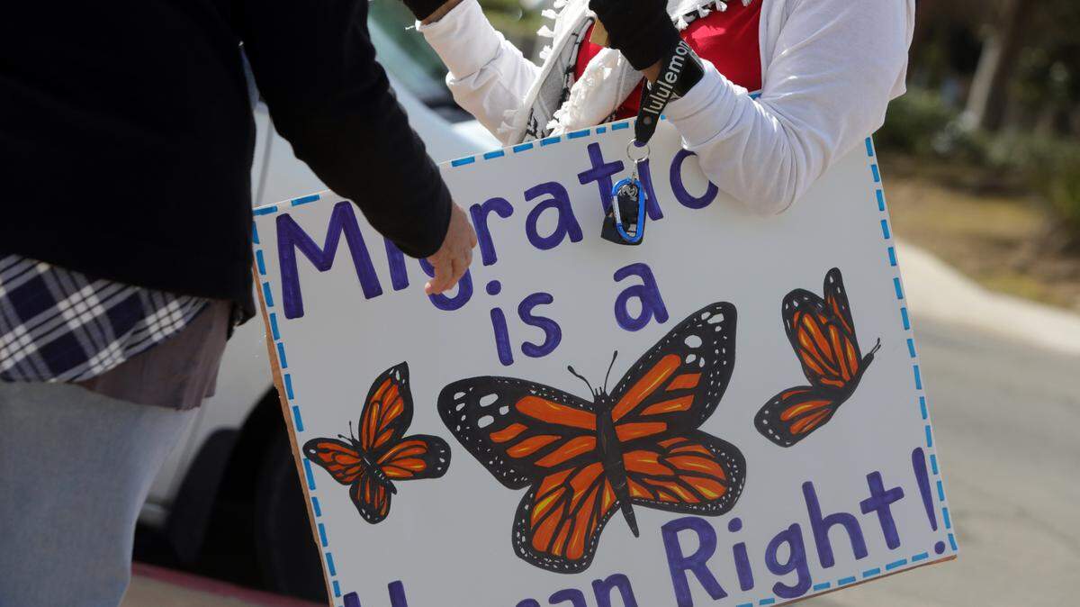 More than 250 protesters showed up in front of Fresno City Hall for the 50501 Movement and Political Revolution on Monday (Feb. 17, 2025) as part of a national demonstration against the Trump administration and Elon Musk, who heads the Department of Government Efficiency (DOGE).