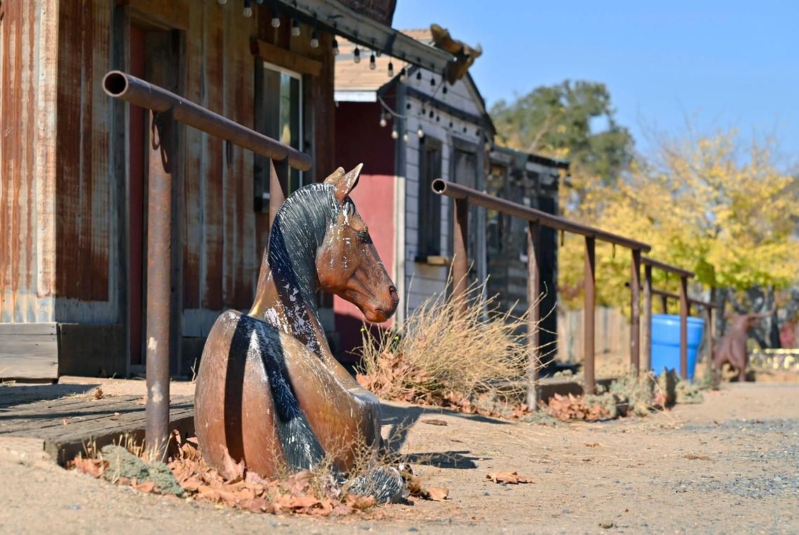 Ryan Steward and his wife Melissa Steward have purchased the Coarsegold Rodeo Grounds and have plans for its future. Photographed Friday, Nov. 8, 2024 near Coarsegold.
