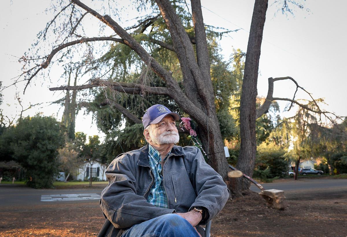 Greg Pratt sits near the deodar cedar in front of his property on Van Ness Boulevard on Friday, Nov. 29, 2019.