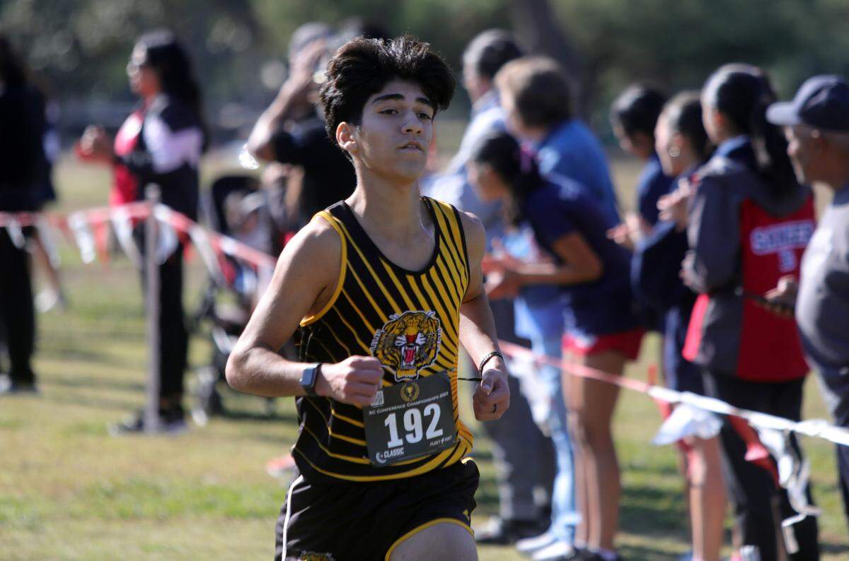 Edison High junior Ben Cruz finished third (16:54.4) at the CMAC cross country championships at Woodward Park on Nov. 8, 2023.