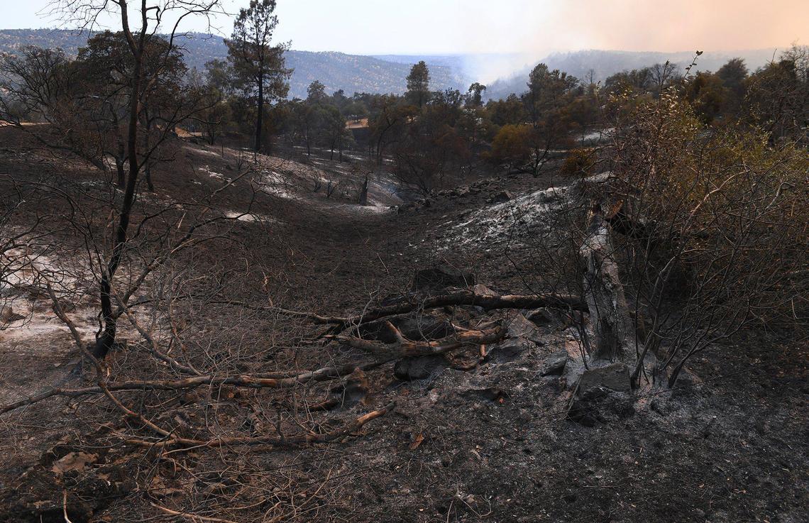 A charred landscape along Acton Grade just west of Road 600/Grub Gulch Road is seen as the River Fire continues burning, reaching 9,000 acres with 10% containment, Monday, July 12, 2021, near Coarsegold.