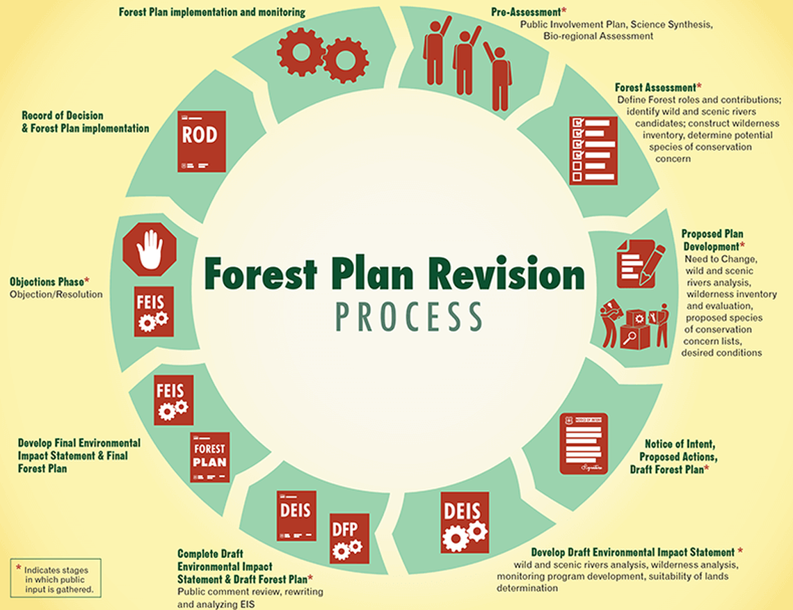 Graphic from the U.S. Forest Service showing the forest plan revision process. The final forest plans and environmental impact statements for Sierra and Sequoia national forests are expected to be released in the spring or summer of 2021. An objections phase, which is different from a public comment period, will follow.