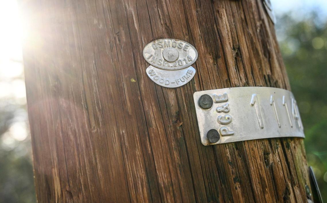 An inspection stamp is nailed onto a PG&E power pole in the El Portal Trailer Park near Yosemite National Park on Sunday, March 13, 2022.
