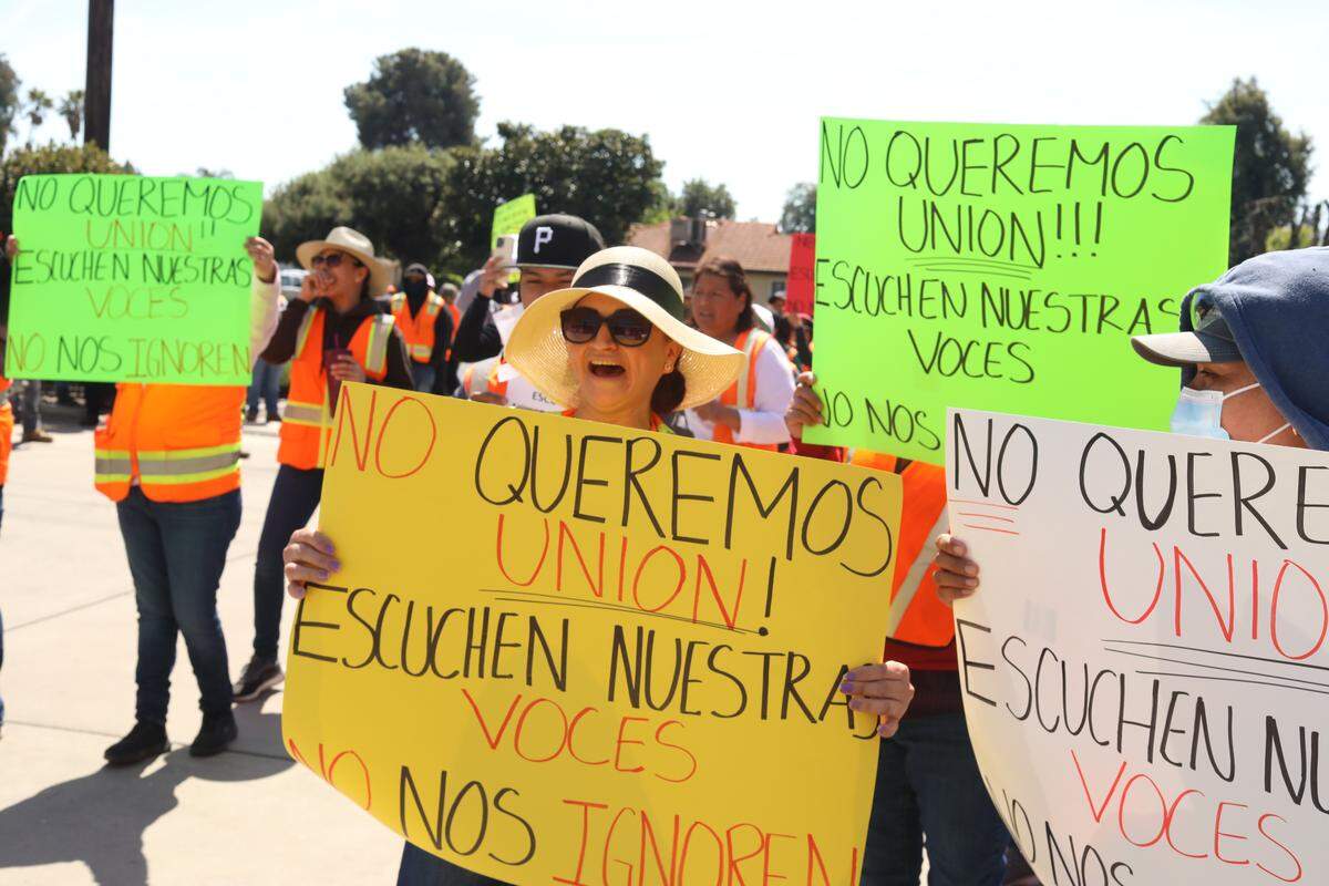 More than 100 workers from Wonderful Nurseries in Wasco demonstrated their discontent outside the Agricultural Labor Relations Board office in Visalia on March 27, 2024.
