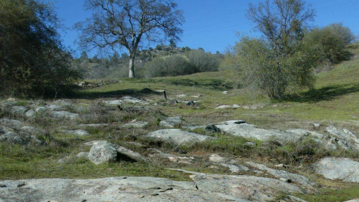 Hikers can veer east or west on the Pa'san Ridge trail in the San Joaquin River Gorge Management Area near Auberry. The sign is just north of the bridge that spans the San Joaquin River, about 1 mile into the 7.5-mile looping trail.
