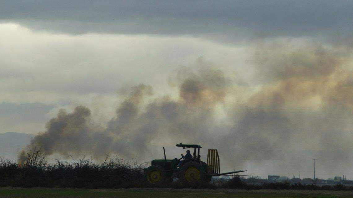 A worker in a field near San Joaquin approaches a pile of wood burning. A plan by the San Joaquin Valley air district would outlaw all agricultural burning by 2025.