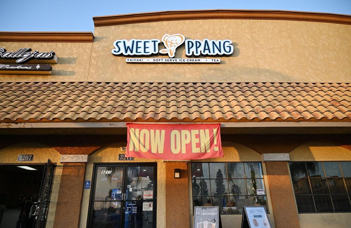 Sophea and David Thach have opened Sweet Ppang near First Street and Shields Avenue. Photographed Tuesday, Nov. 12, 2024 in Fresno.