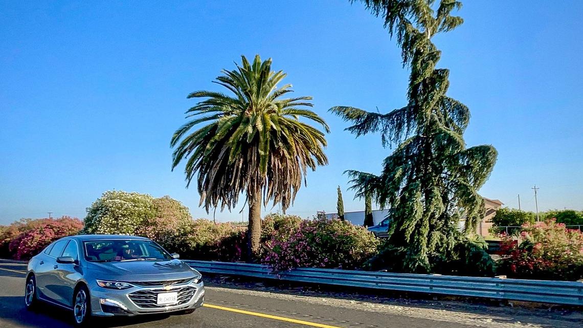 Highway 99’s Palm and Pine in Madera will be removed next year. What’s next for the landmark?