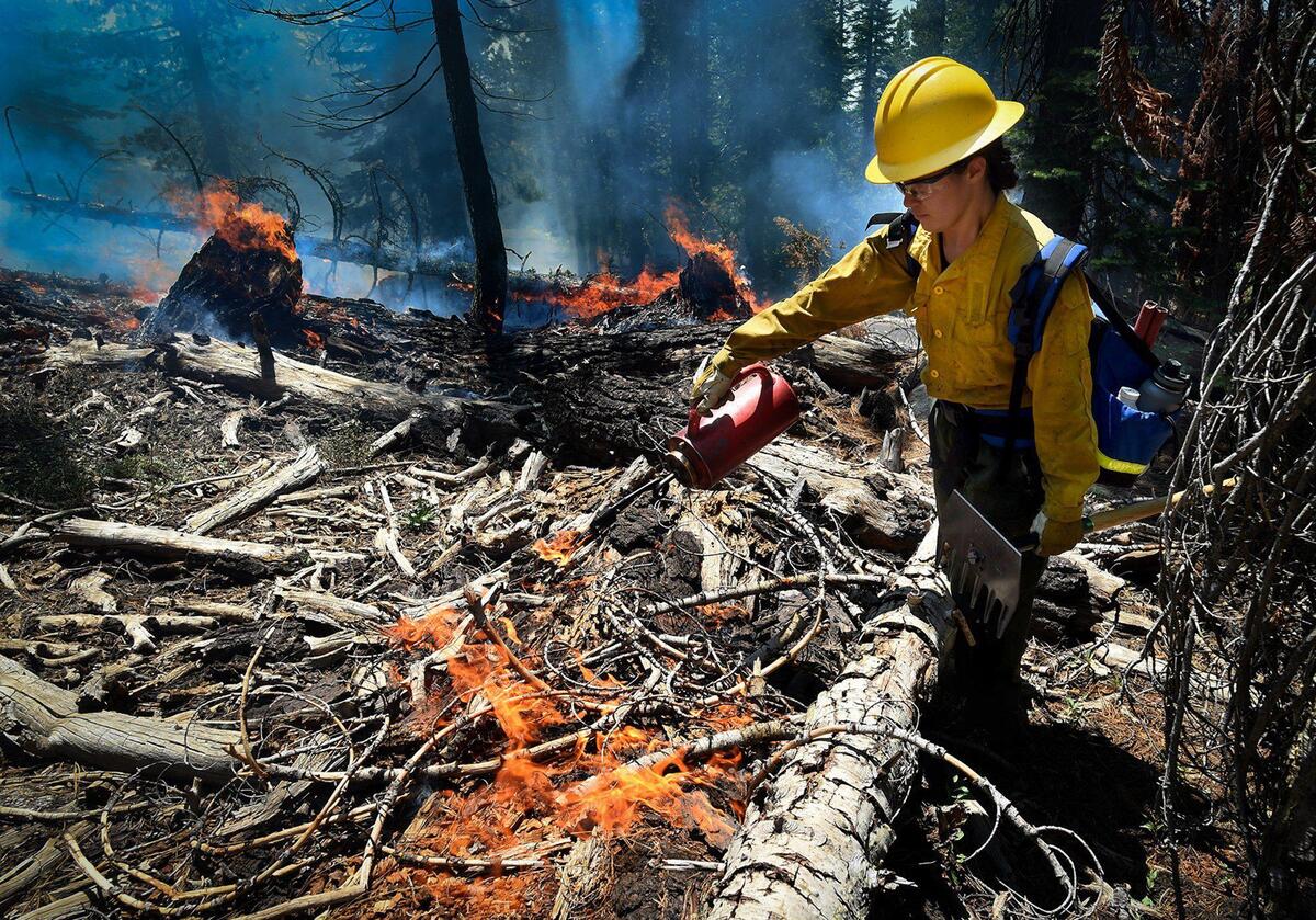 Using a drip torch, Guadalupe Ruiz, a member of the Yosemite Women’s Fire Internship, lays down fire in dry kindling to set a back burn during the County Line Fire off Yosemite Creek Campgrounds Road, July 14, 2021. The Yosemite Women’s Fire Internship, the first-ever California Conservation Corps internship program of its kind, brings women together for a 10-week intensive program where they learn how to be firefighters and how to protect and manage the landscape with fire. In this internship, they learn key wildfire management skills such as sawing down trees, building piles for fuel removal, and other key skills for fire management.