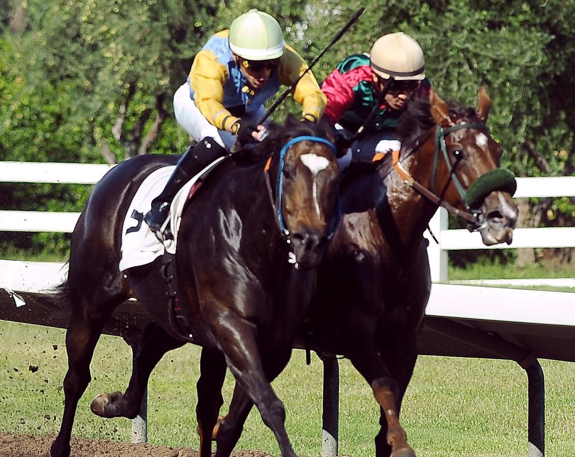R U Tough Enough with jockey Juan J. Hernandez, left, edges Meet’n On High ridden by Ricardo Gonzalez in a photo finish in the fifth race on the first day of the nine-day Big Fresno Fair horse racing meet Thursday, Oct. 4, 2018.