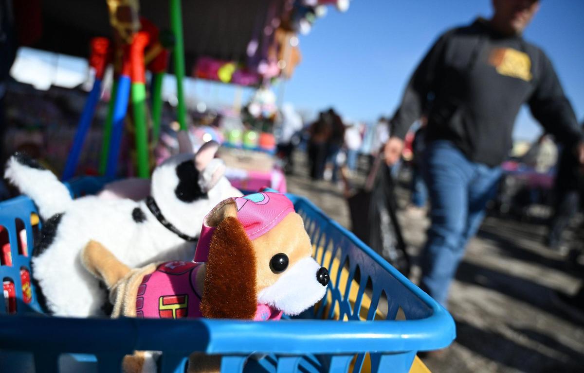 A toy dogs yaps as shoppers stroll by a vendor at the Fresno Flea Market Sunday Feb. 16, 2025 in Fresno.