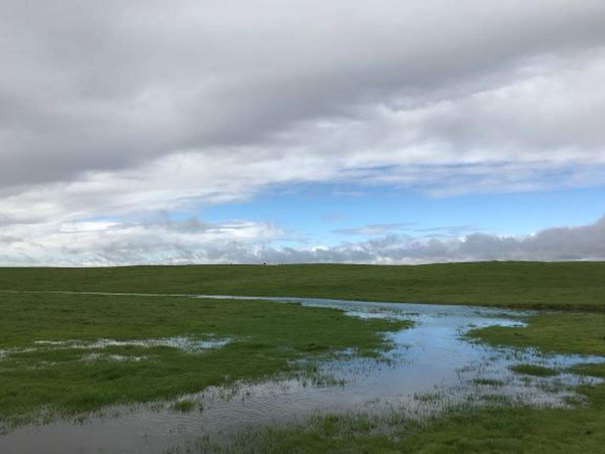 McKinney Ranch Conservation Easement