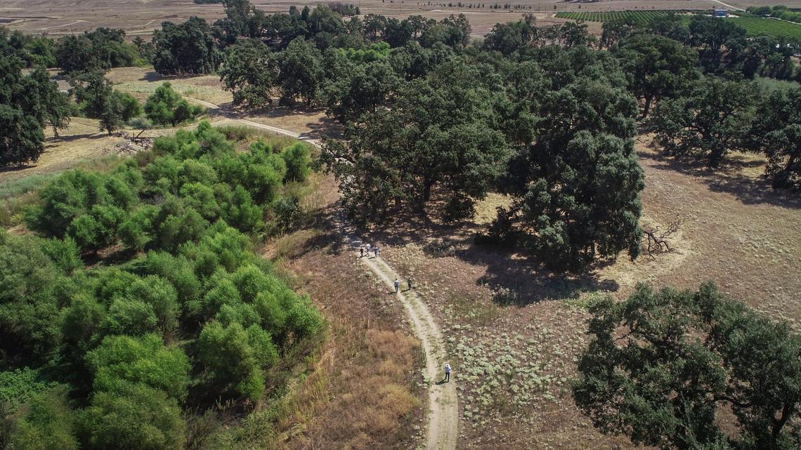 Ledger Island on the San Joaquin River north of Fresno as seen in a drone image. The state-owned property, along with neighboring Ball Ranch, could potentially form a 520-acre regional park.