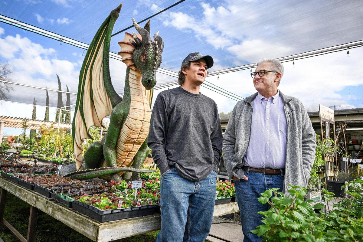 Scott Miller, right, owner of Gazebo Gardens, and his son Quincy Miller, chat near one of the Fresno nursery’s popular Instagram selfie backdrops, a giant dragon standing among the flowers for sale.