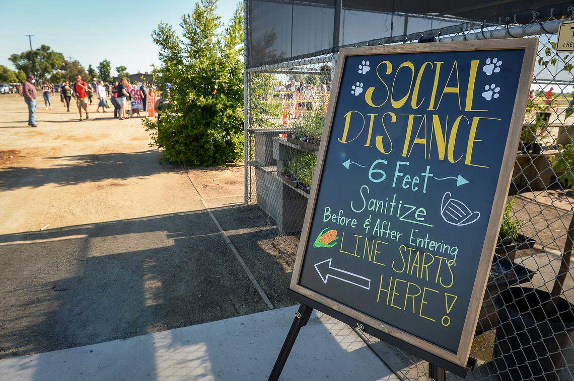 Social distancing, masks and hand sanitizer were among health precautions on the first day of Fresno State-grown corn sales at the Gibson Farm Market on Monday, May 25, 2020. Despite the pandemic, hundreds waiting in line to purchase corn.