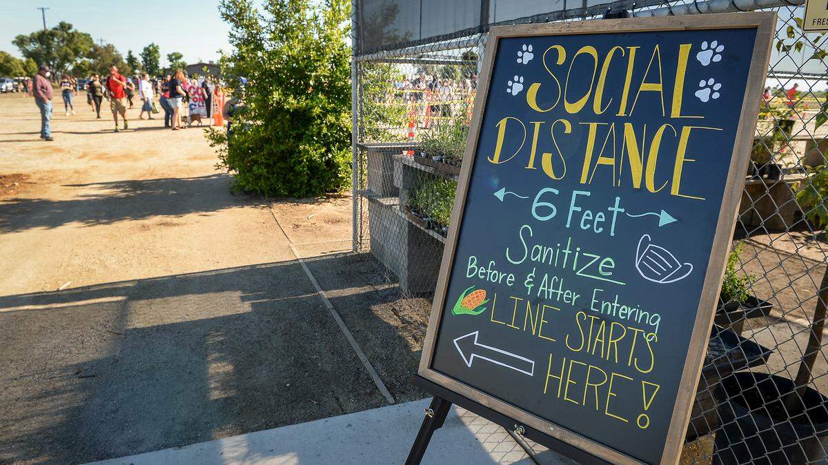 Social distancing, masks and hand sanitizer were among health precautions on the first day of Fresno State-grown corn sales at the Gibson Farm Market on Monday, May 25, 2020. Despite the pandemic, hundreds waiting in line to purchase corn.