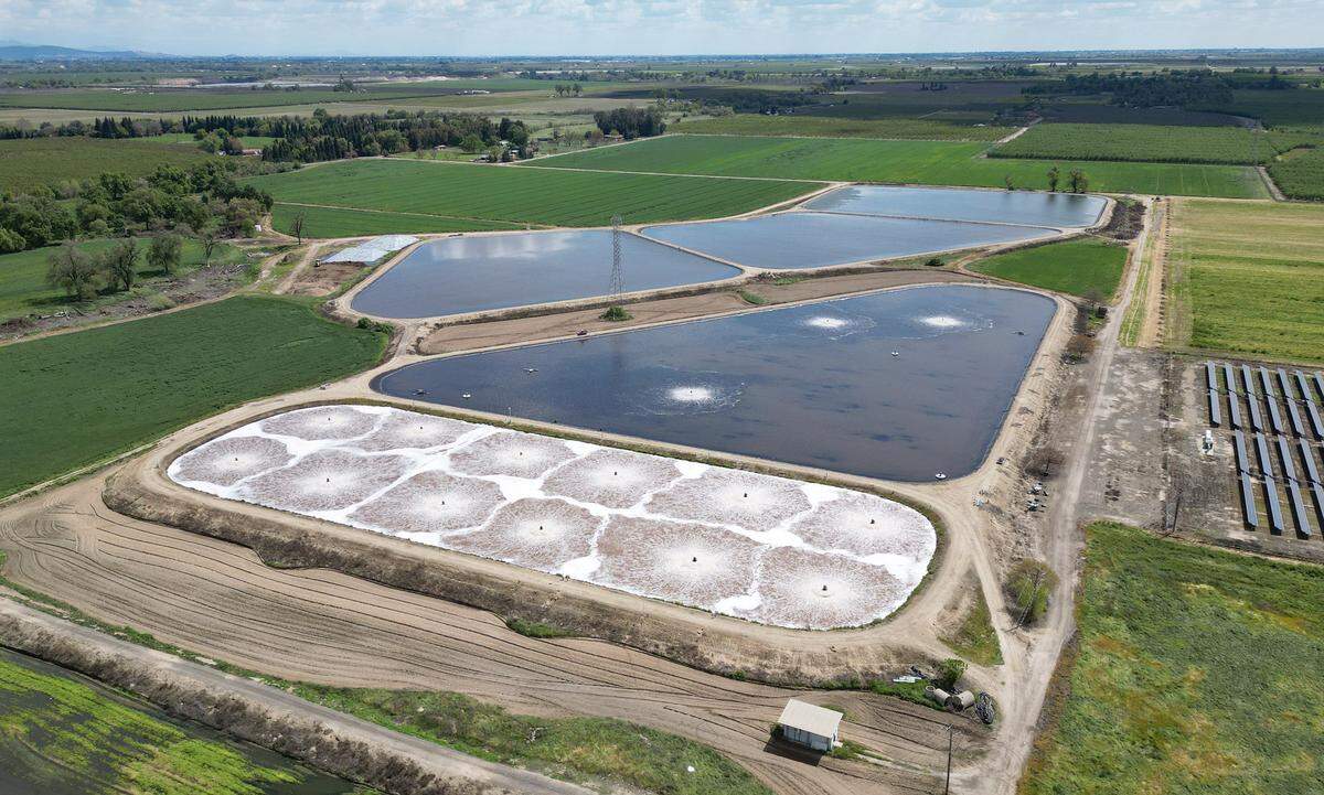 Basins at Sanger’s industrial waste water treatment plant are seen Thursday, April 3, 3025 just outside of Sanger. The City of Sanger is now working with Pitman Farms in implementing new standards for water usage and treatment.